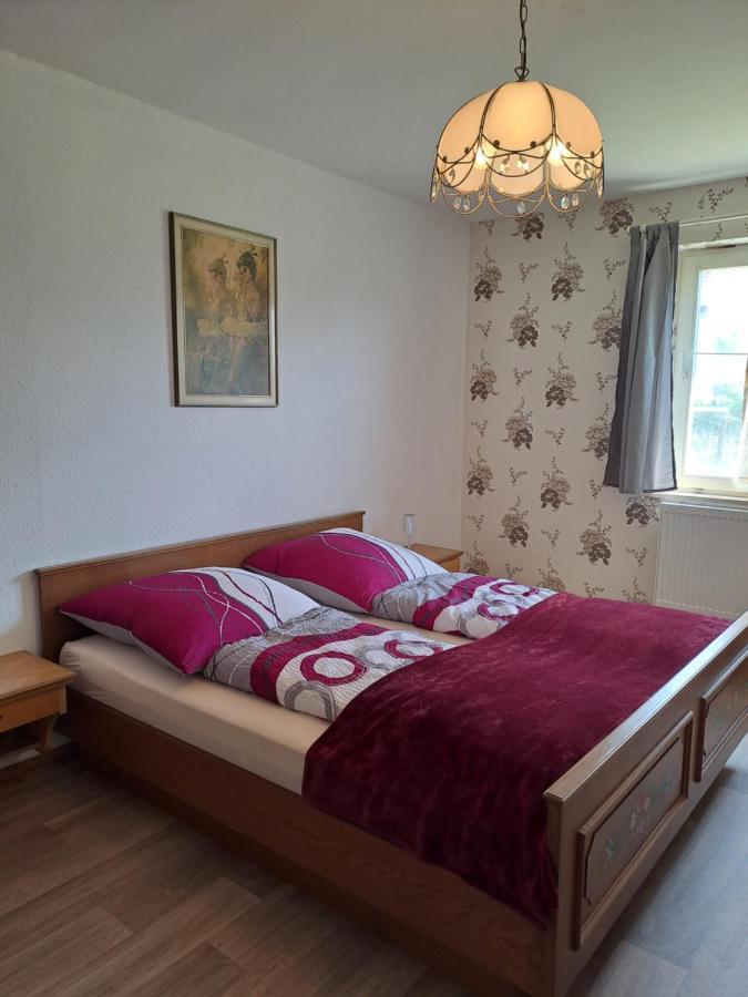 Keller'S Ferienwohnung An Der Saale Schwarzenbach an der Saale Zewnętrze zdjęcie